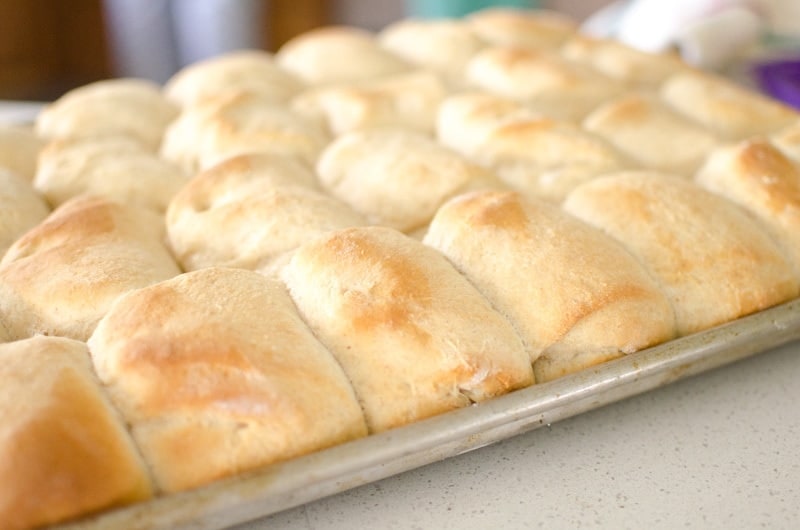 Homemade Dinner Rolls fresh out of the oven in pan 