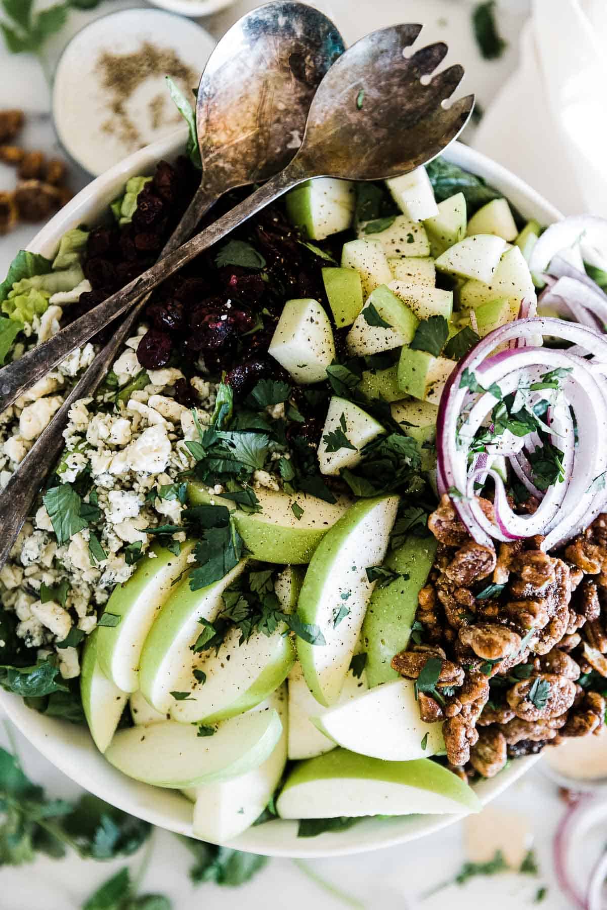 All the ingredients piled high on apple gorgonzola salad.