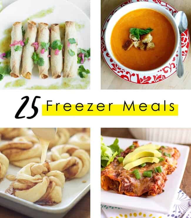 Freezer Meal Round Up - 25 Recipes That Freeze Like A Dream - Oh So ...