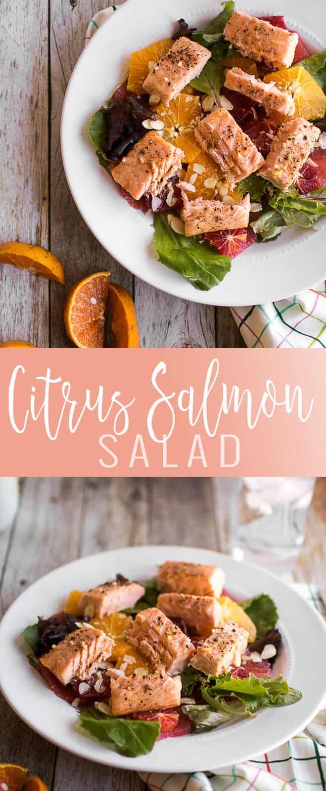 Citrus and Salmon Salad pin
