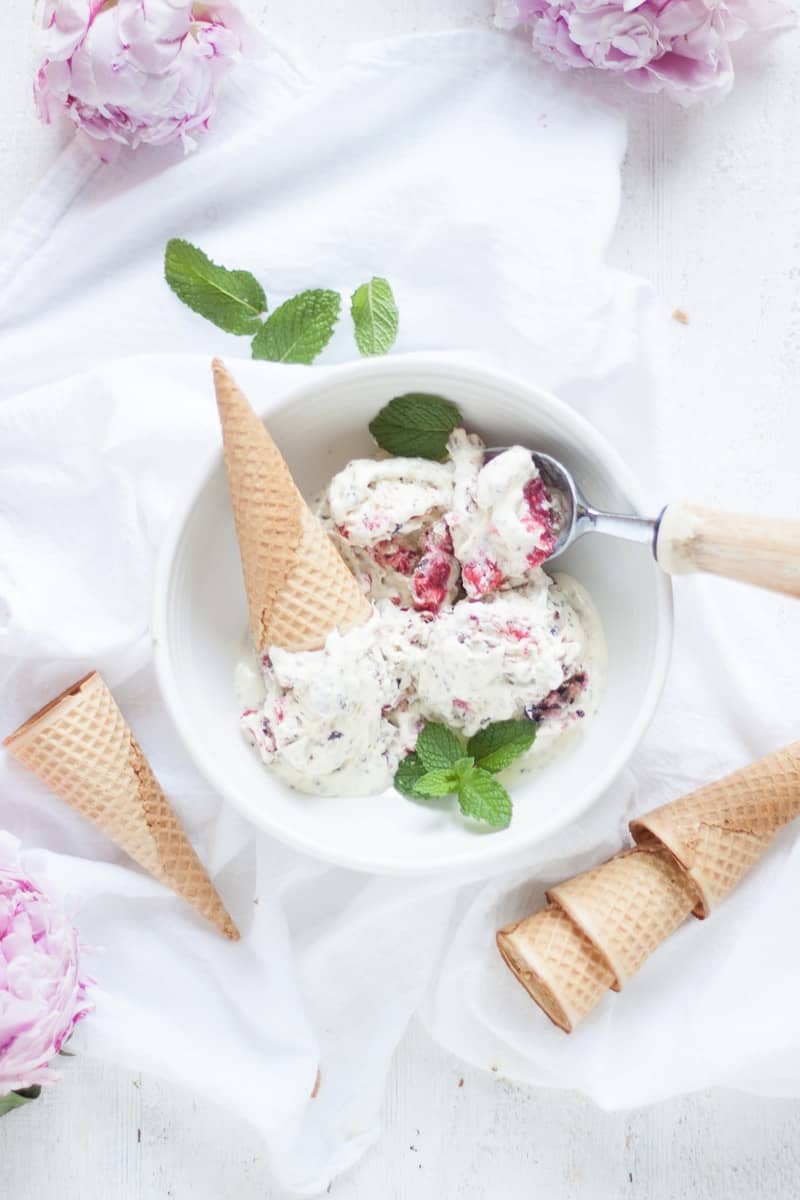 Vanilla Berry Chia Seed Ice Cream with KitchenAid Ice Cream Maker - Oh So  Delicioso