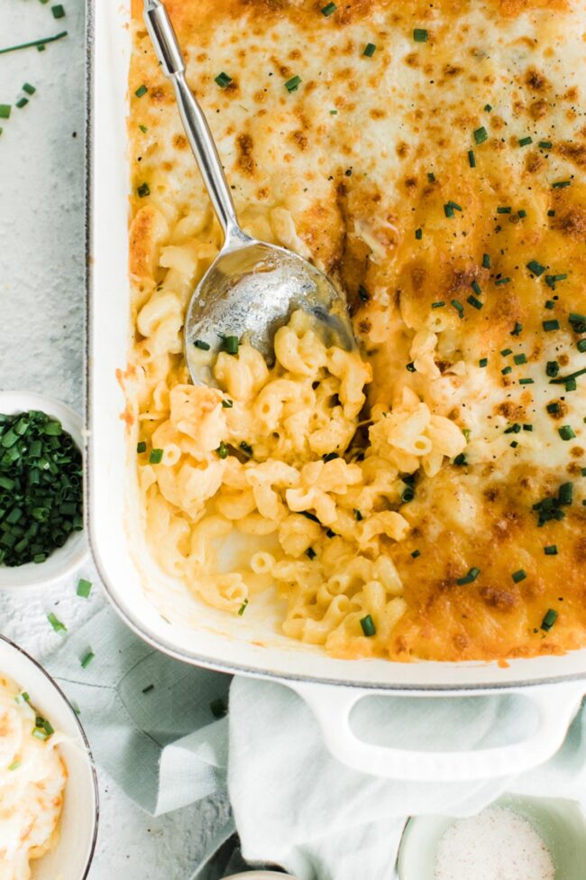 Creamy Mac and Cheese Recipe - Oh So Delicioso