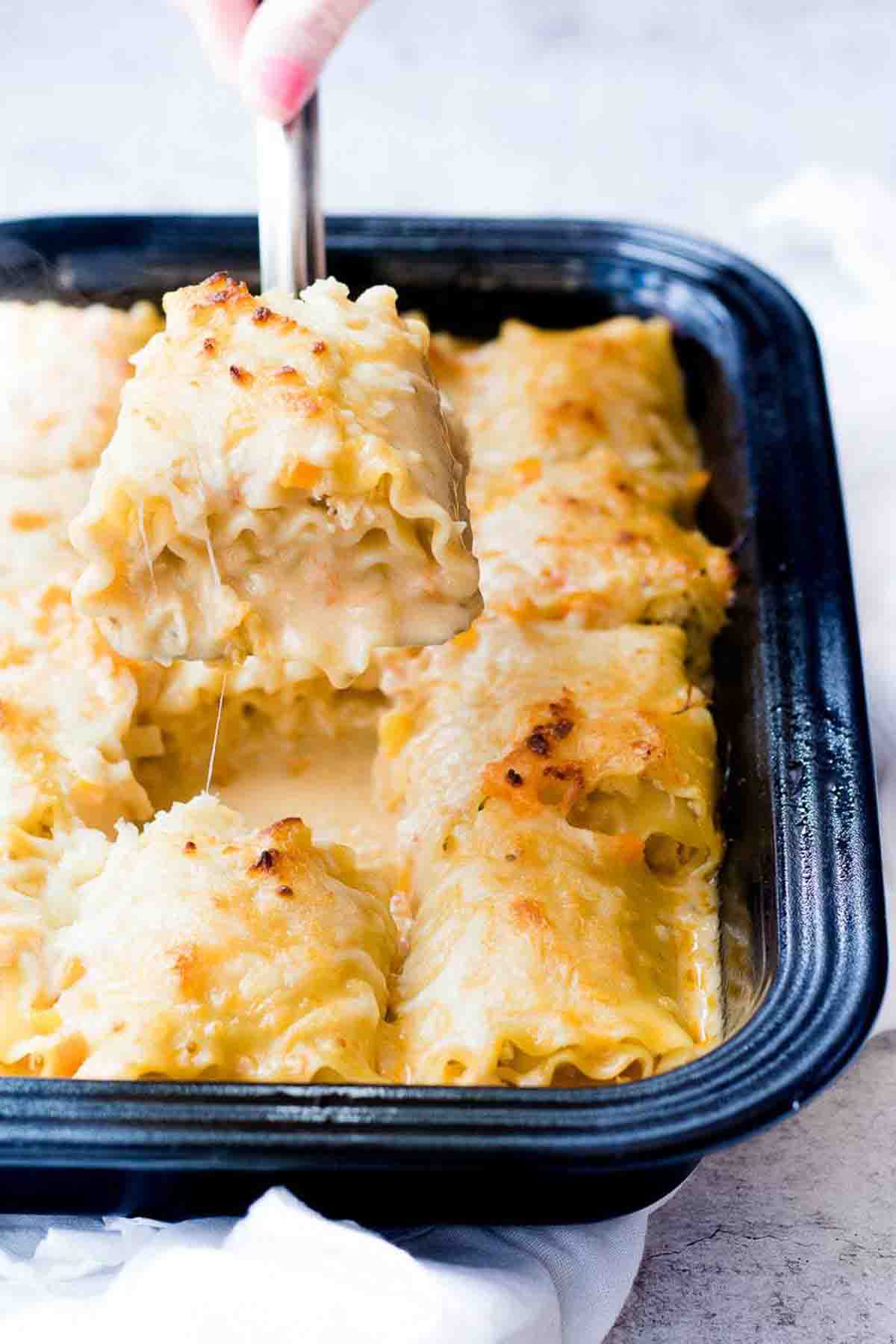 A baking dish with creamy lasagna rolls stuffed with chicken baked and ready to eat.