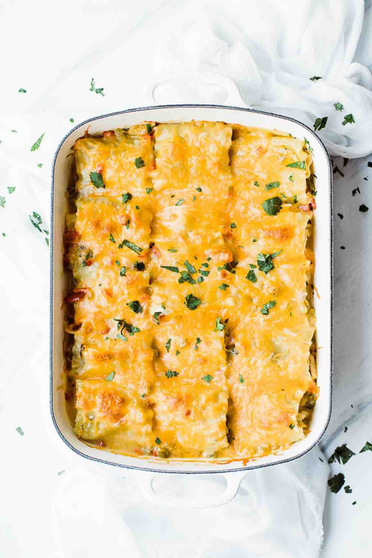 Chicken lasagna roll ups in large pan with melted cheese on top.