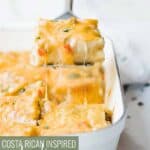 Pinterest graphic with image of chicken lasagna rolls and text on top.
