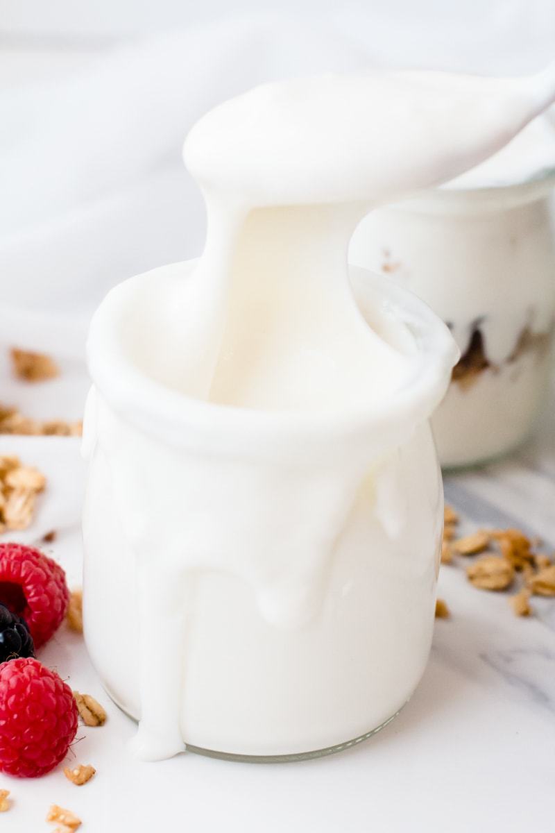 Instant Pot Cold Start Yogurt Breakfast Recipes Oh So Delicioso