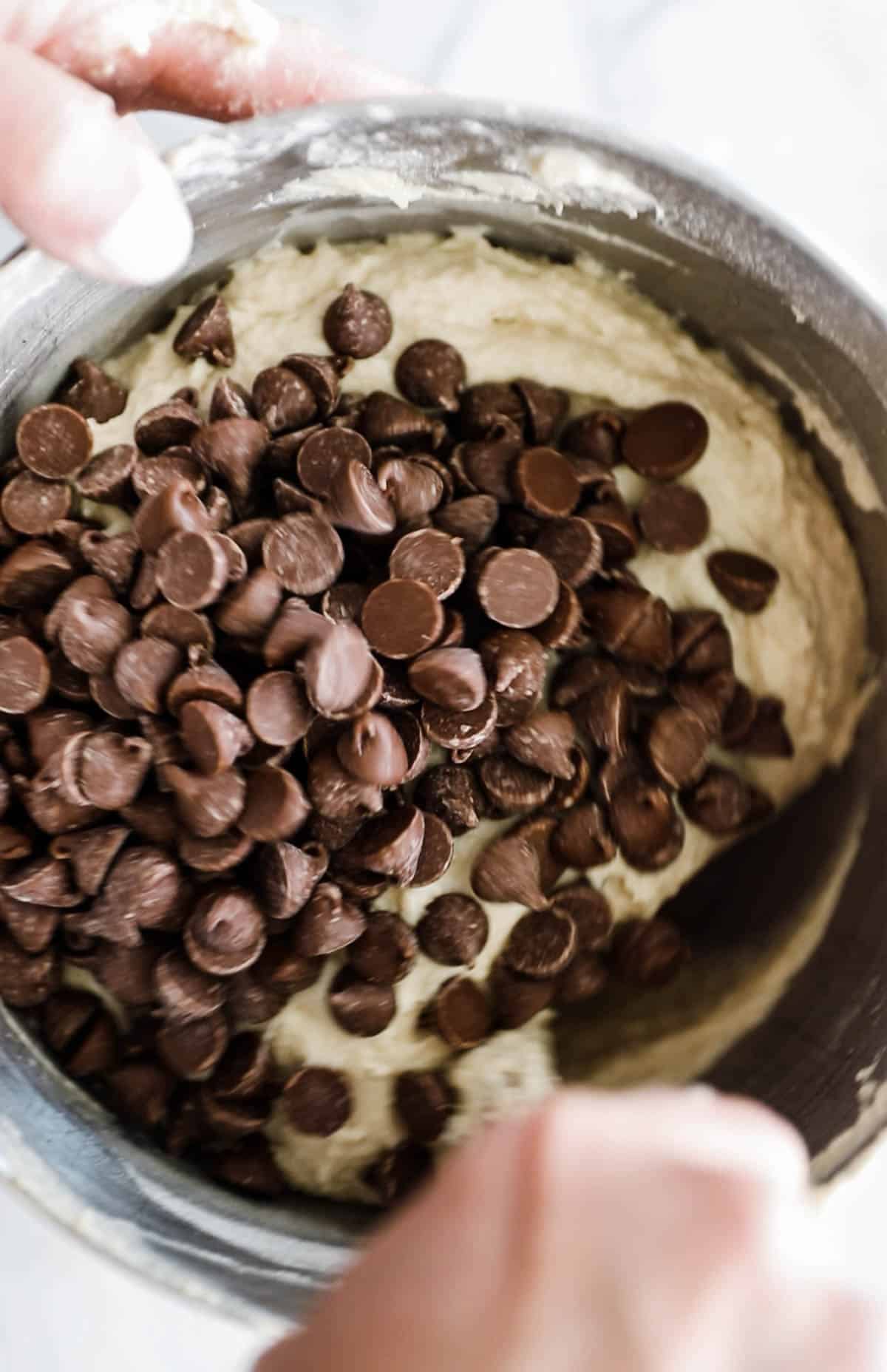 Milk chocolate chip cookies in bowl. 