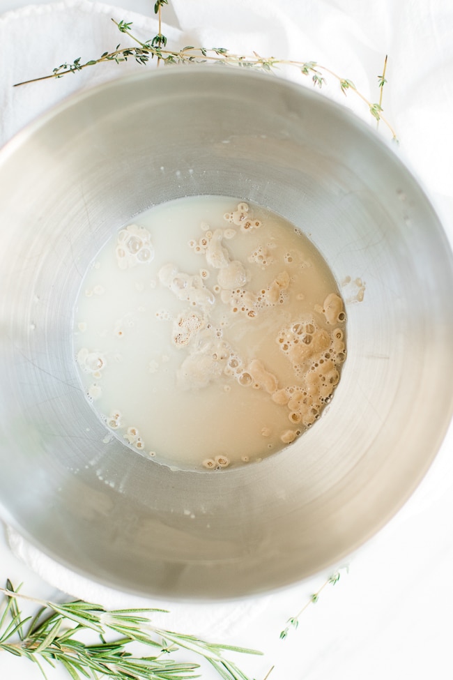 warm water and bubbly yeast in silver bowl