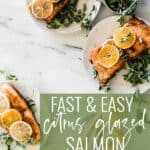 Pin for pinterest graphic with image of citrus salmon.