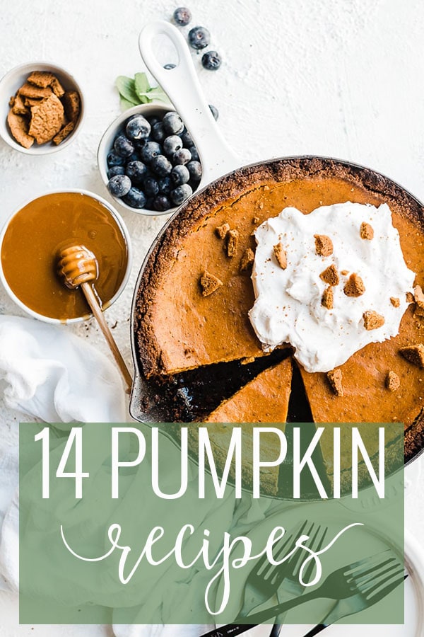 The BEST Pumpkin Recipes - Oh So Delicioso