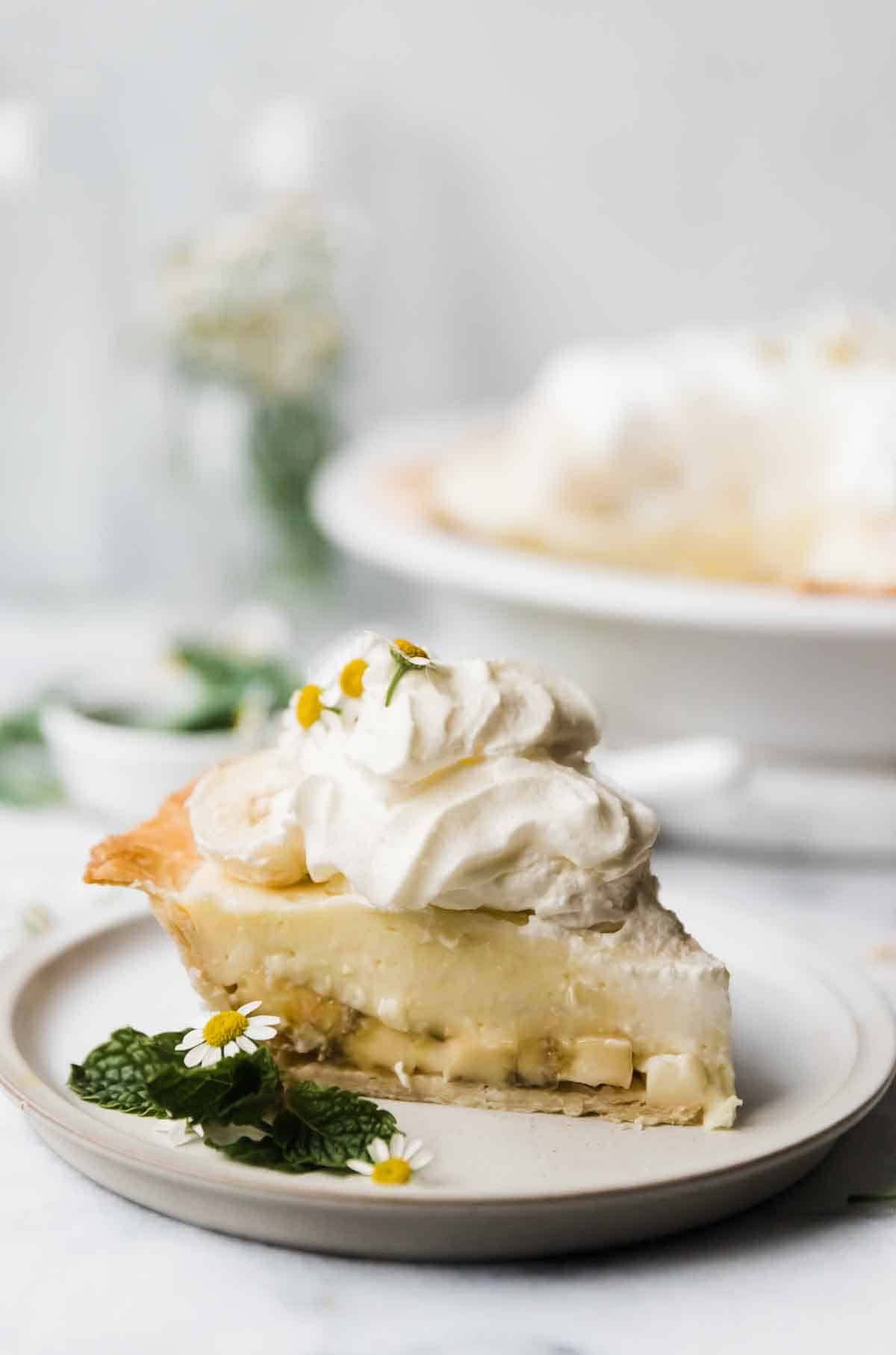 Easy banana cream pie recipe slice and placed on a white plate. It is garnished with whipped cream. Whole pie is in the background.