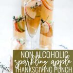Thanksgiving punch Pinterest image.