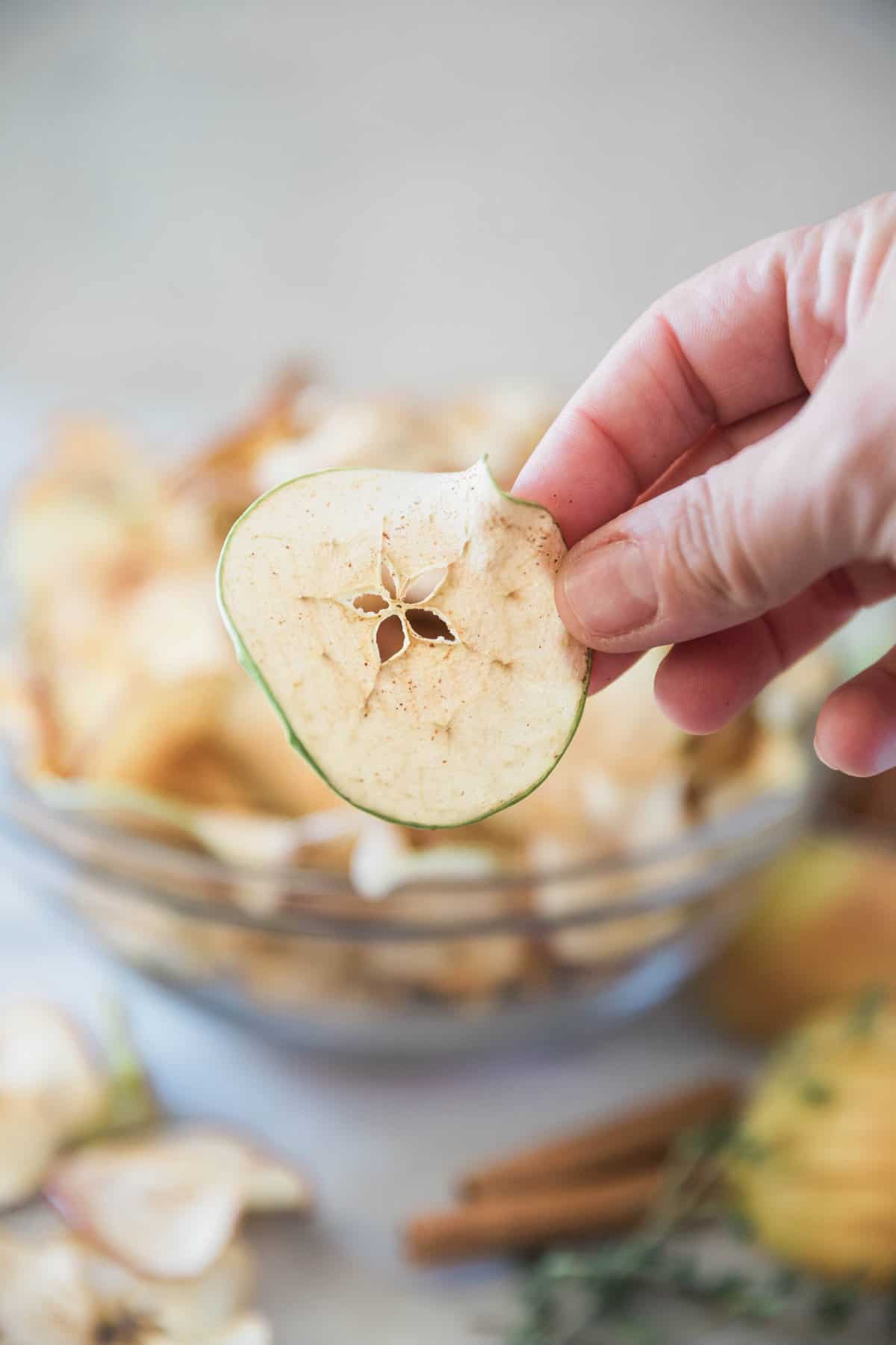 A closeup of an apple chip.