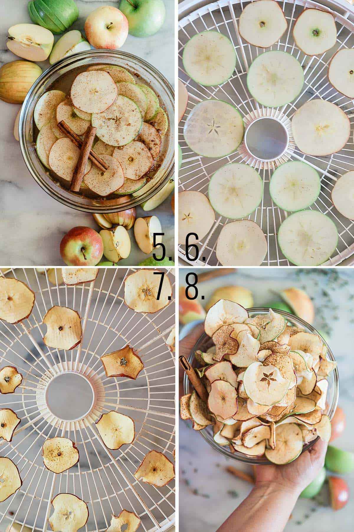 How to make apple chips in the dehydrator.