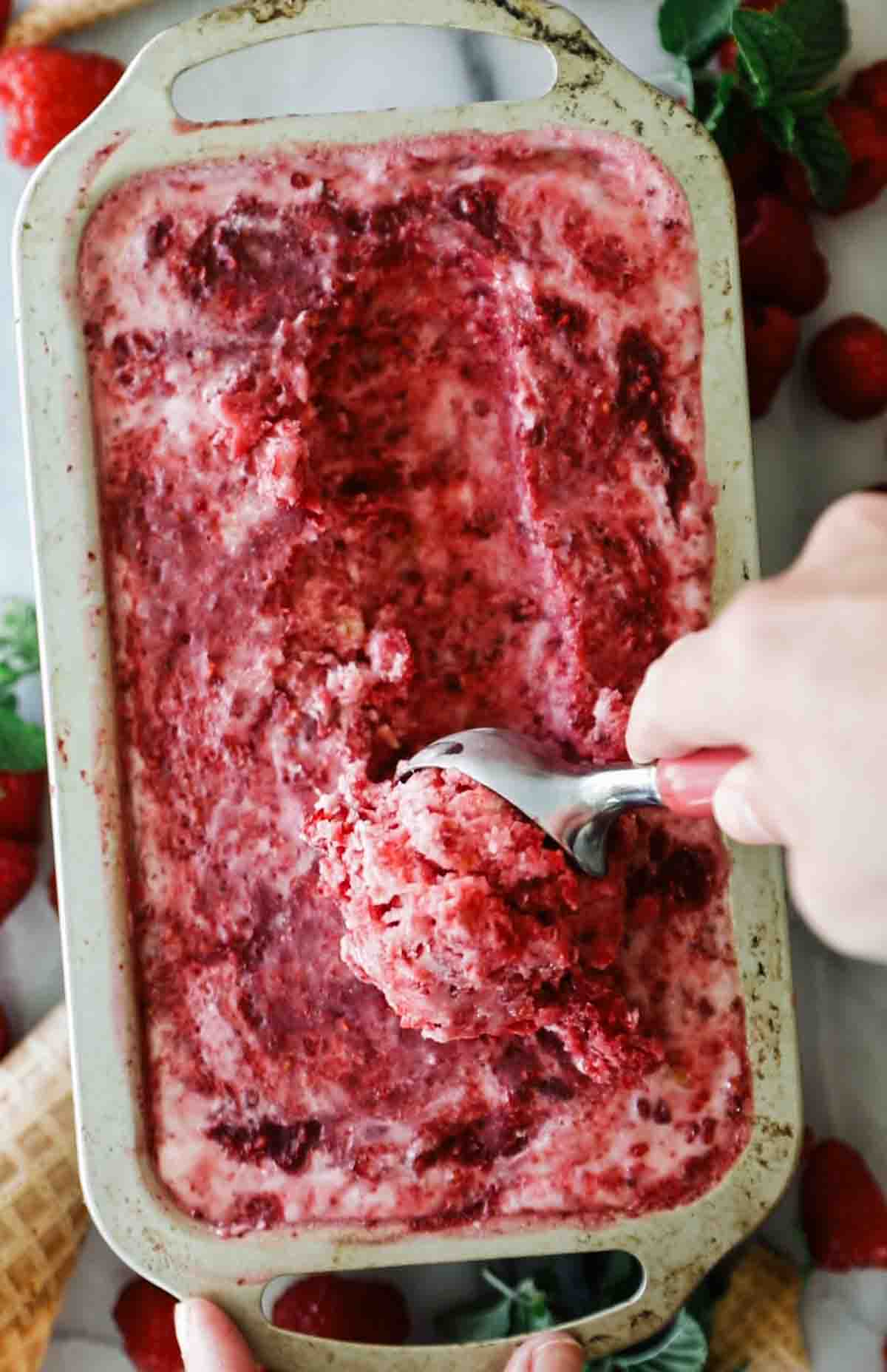 Raspberry ice cream sherbet in a loaf pan with a hand scooping some.