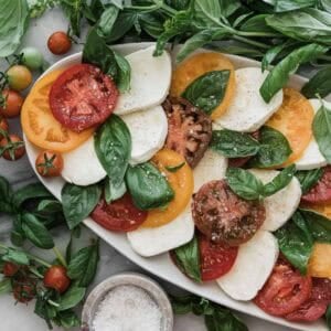 Tomato mozzarella appetizer on an oval white platter with fresh basil and tomatoes scattered around.