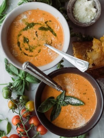Creamy tomato soup in white bowls with black rims. They are garnished with basil and pesto.