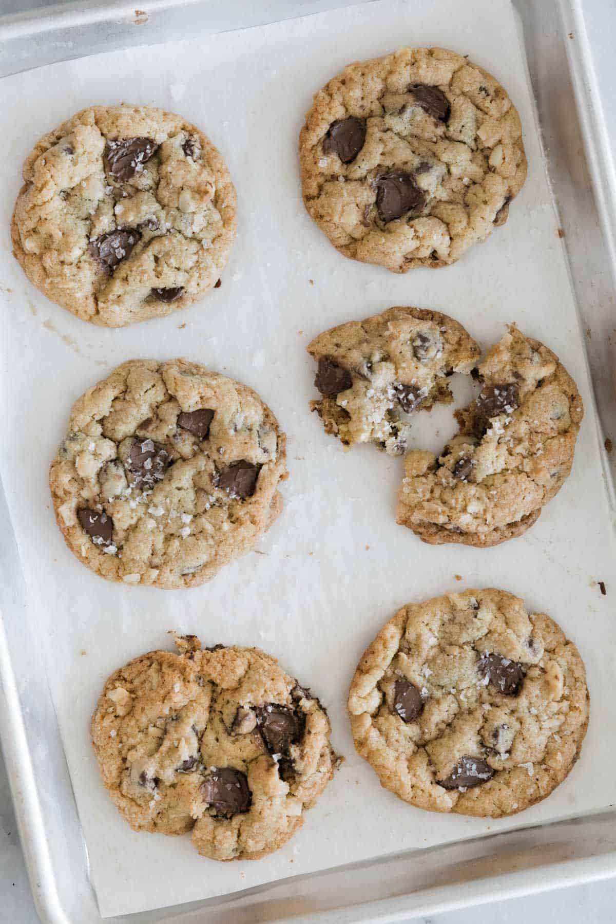 Coconut chocolate chip cookies on a baking sheet.