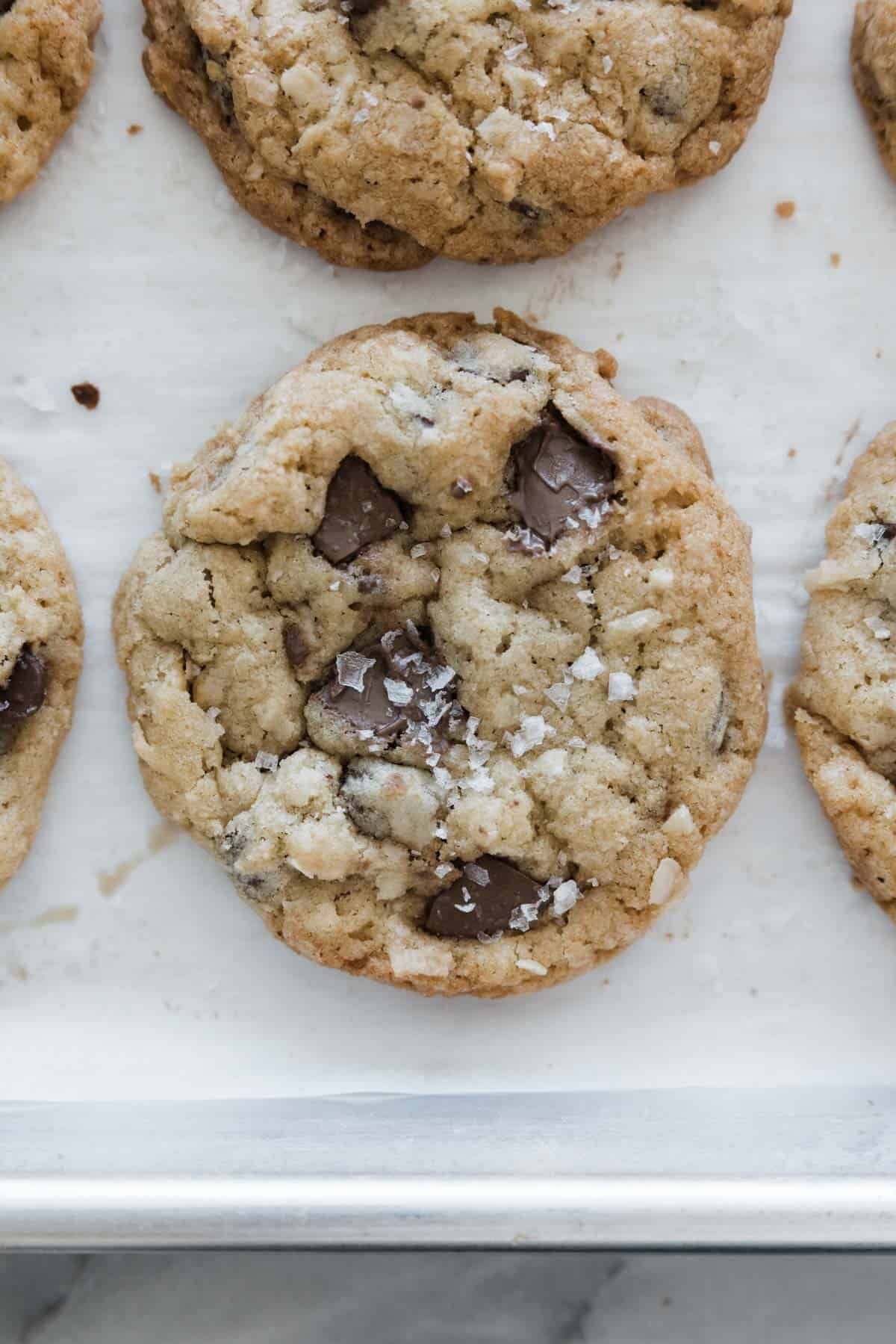 Coconut and chocolate cookie on a baking tray.